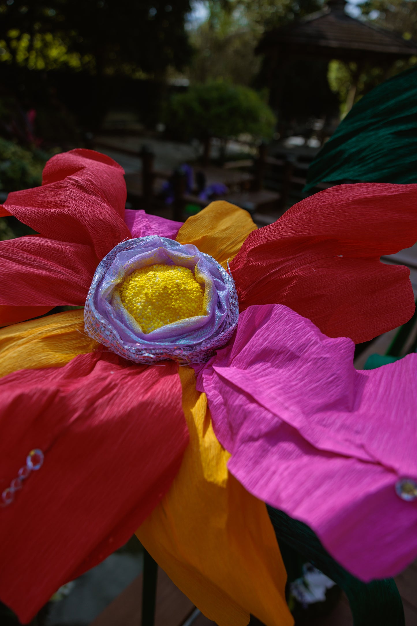 Coral Spectrum Petals