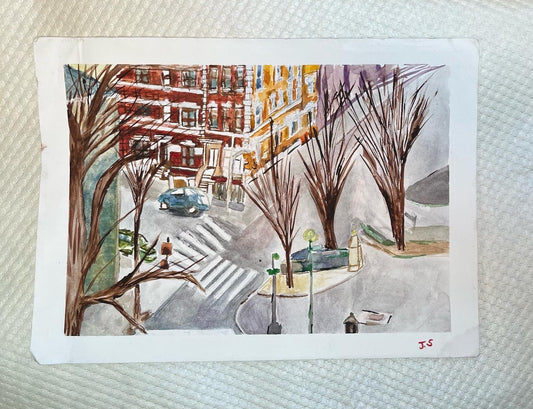 Winter's Palette in St. Nicholas Park