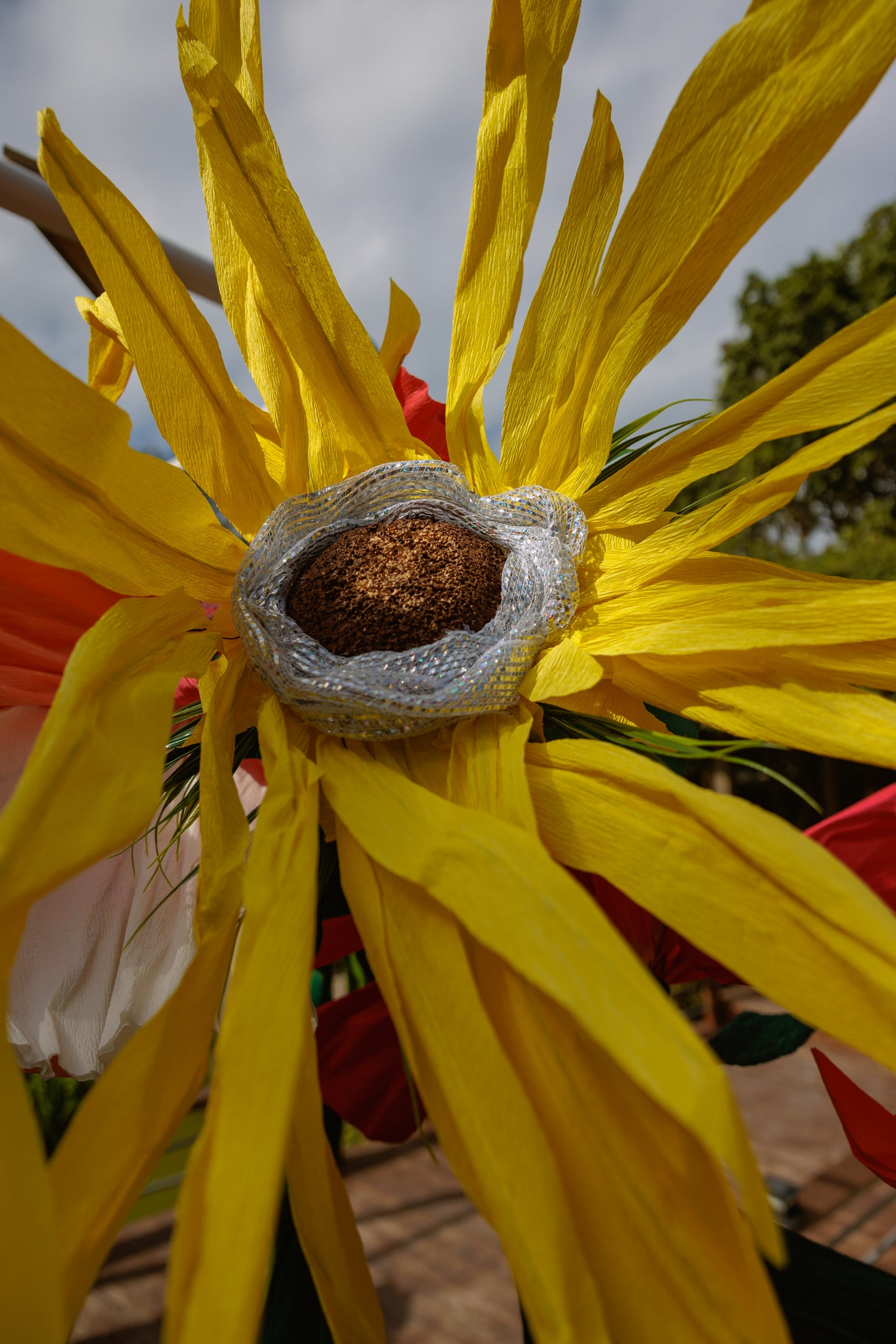 Sunbeam Spike Blossom